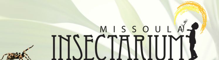 missoula-insectarium