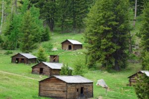 Garent ghost town wooden cabins on grassy hill surrounded by trees