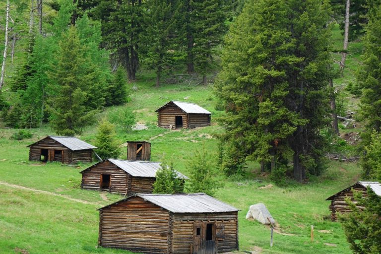 Garent ghost town wooden cabins on grassy hill surrounded by trees