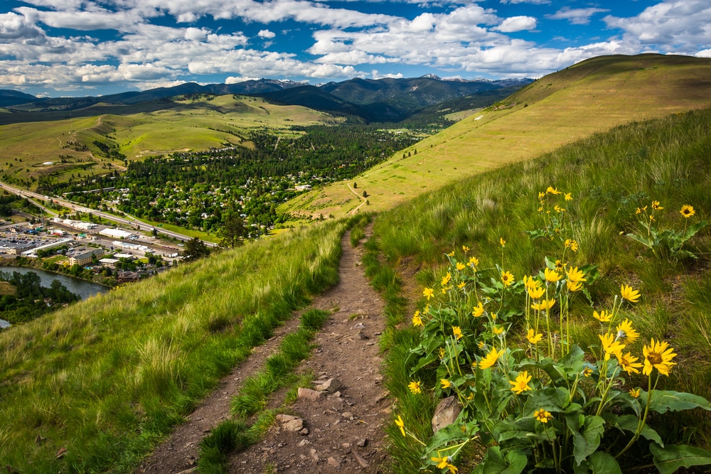 Enjoy this beautiful Missoula hike with wildflowers and great views over the valley